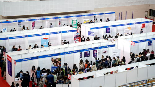 搭建橋梁，助力夢(mèng)想 上外國際金融貿(mào)易學(xué)院2021年就業(yè)實(shí)習(xí)專場(chǎng)雙選會(huì)成功舉辦