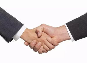 會展 繁榮的見證，經濟貿易咨詢的璀璨舞臺